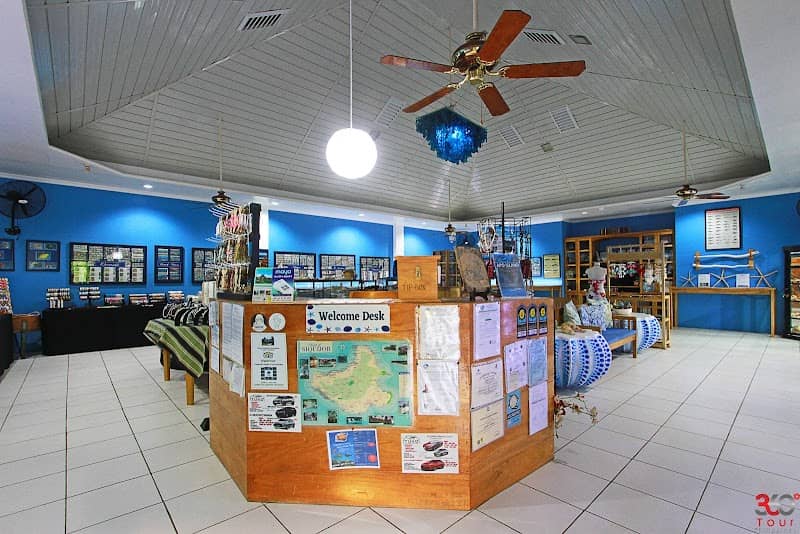 Marelle's Seashell Museum - Image 1