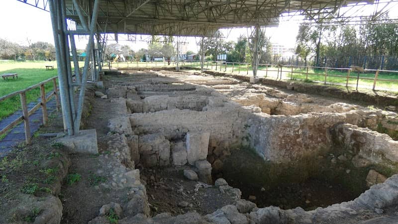 Pontecagnano Archaeological Park - Image 1