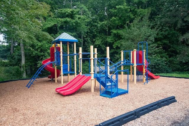 Ark Park - Image 2