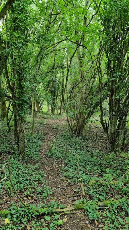 Stockwood Open Space Nature Reserve - Image 2