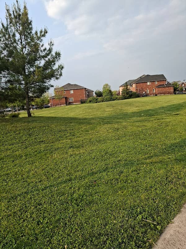 Menefy Park - Image 1