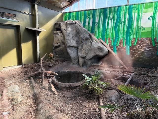 Reptile Exhibit - Image 1