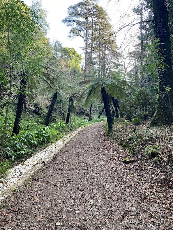 Fonte de São Silvestre - Image 3