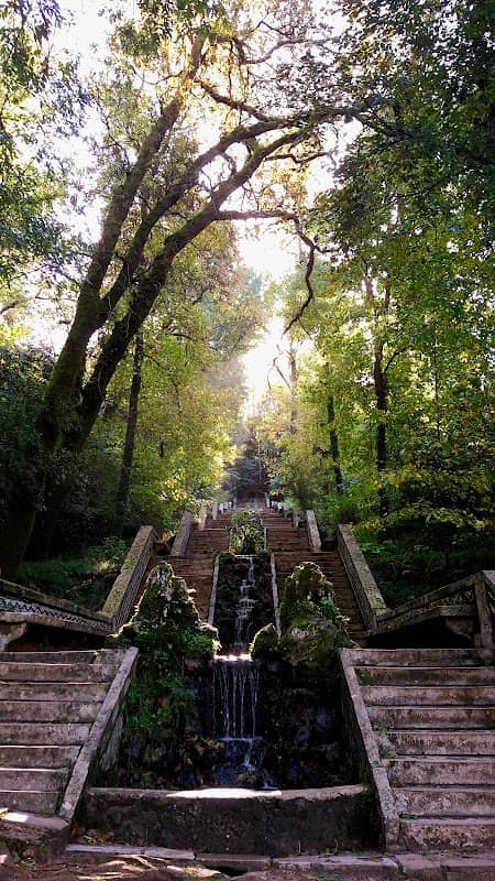 Fonte de São Silvestre - Image 2