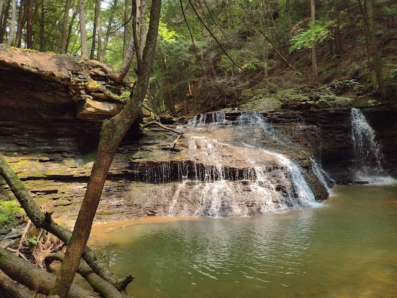 Freedom Falls - Image 3