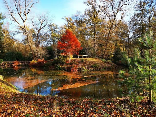 Engelse werk, park - Image 1