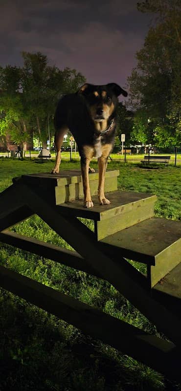 Park za pse - Image 1