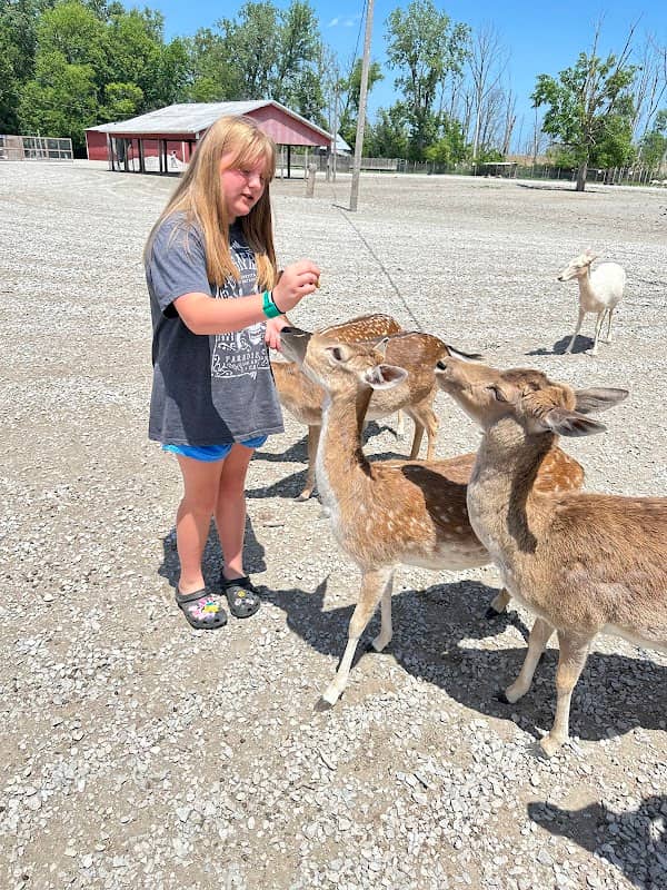 Lagoon Deer Park - Image 1