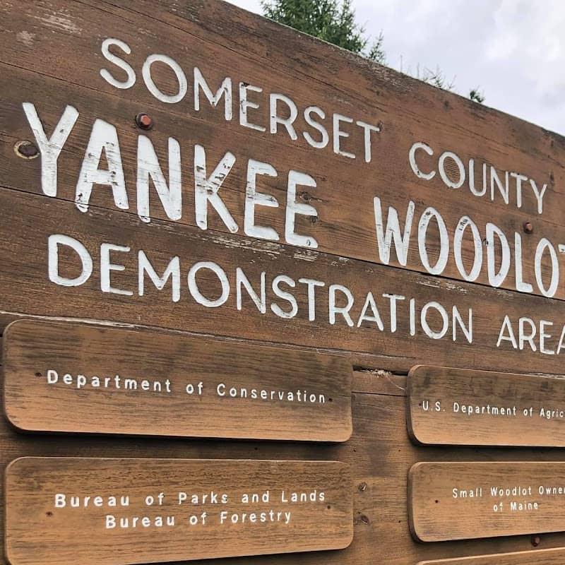 Yankee Woodlot Demonstration Forest - Image 2