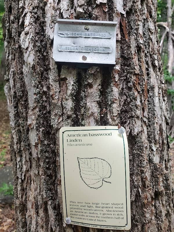 Yankee Woodlot Demonstration Forest - Image 1