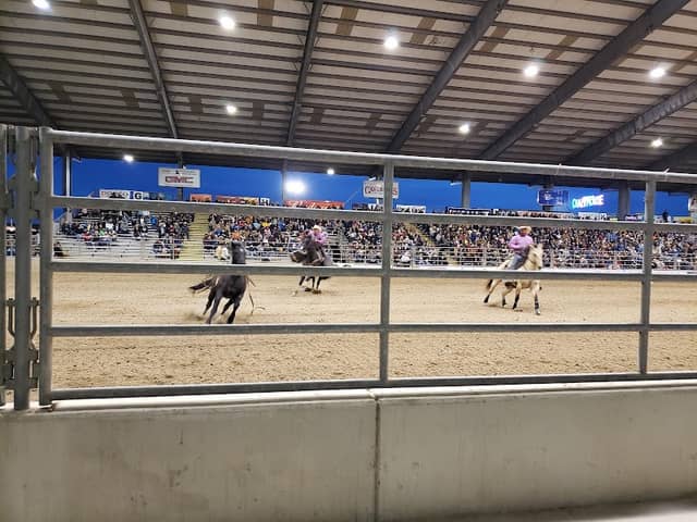 Rio Grande Valley Livestock Show Grounds - Image 1