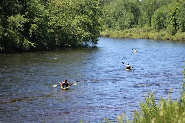 Ed H. Henning County Park - Image 2