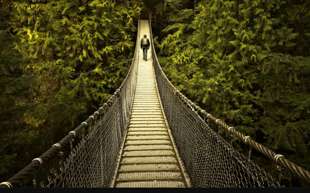 Lynn Canyon Ecology Centre - Image 3