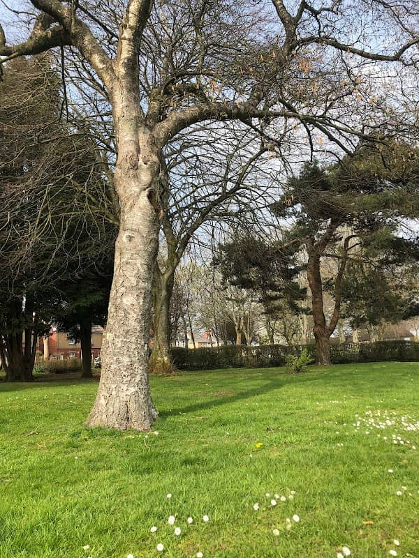 Cwmbran Park - Image 2