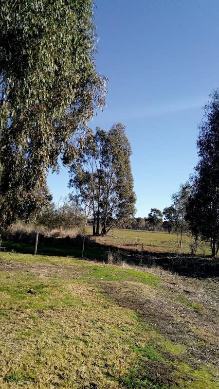 Wangaratta Common Nature Conservation Reserve - Image 1