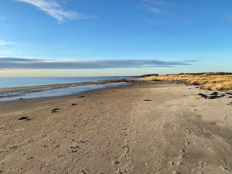 Stora Hults strand - Image 1