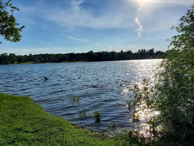 Owens Memorial Park - Image 2