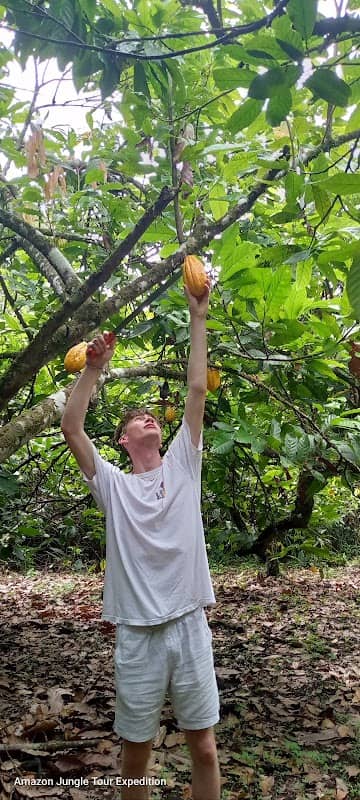 ISLA CACAO WASI - Image 2
