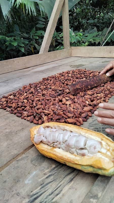 ISLA CACAO WASI - Image 3