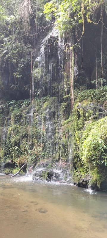 Mucheene Falls - Image 1