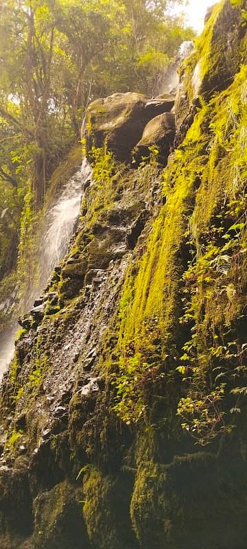 Mucheene Falls - Image 2