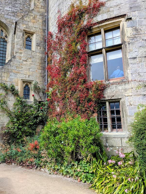 Chirk Castle Gardens - Image 3