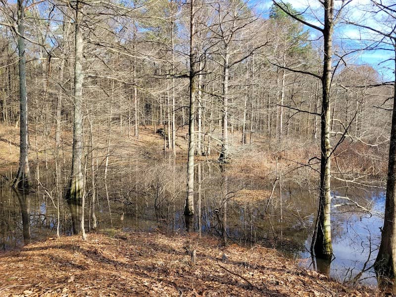 Byrd Lake Natural Area - Image 1