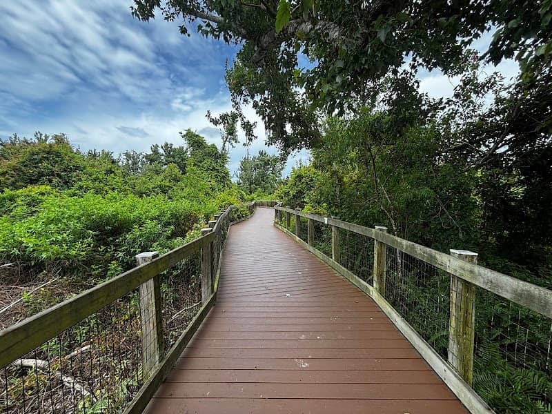 Oakland Nature Preserve - Image 2