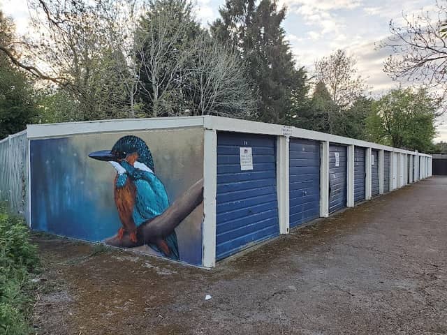 Kingfisher by Brink Contemporary Arts new 'Priory Pools' mural - Image 3