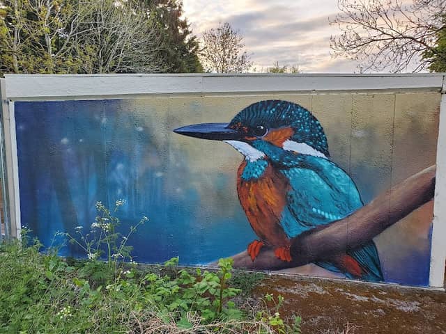 Kingfisher by Brink Contemporary Arts new 'Priory Pools' mural - Image 1