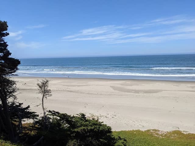 Sunset State Beach Campground - Image 3