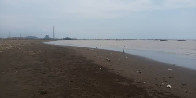 Pantai bedahan jongor Gombolharjo - Image 1