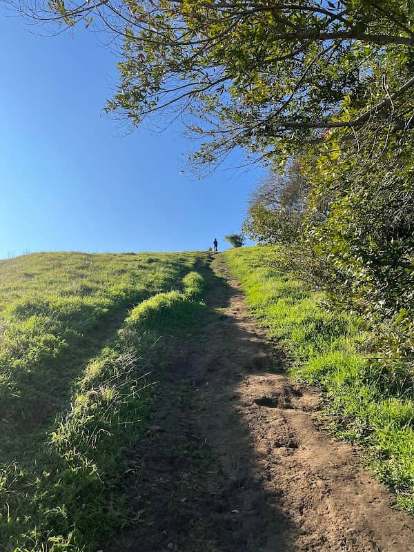 Moller Ranch Viewing Point - Image 2