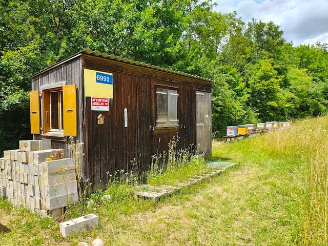 Club Nature et Abeilles CERN - Image 1