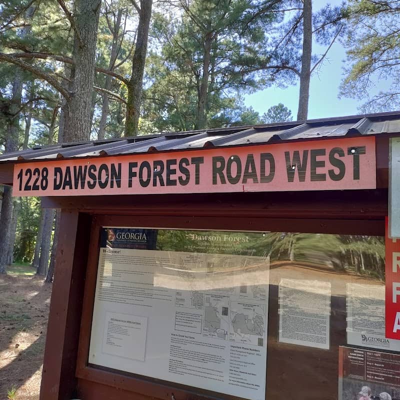 Dawson Forest Mountain Bike Trail - Image 1
