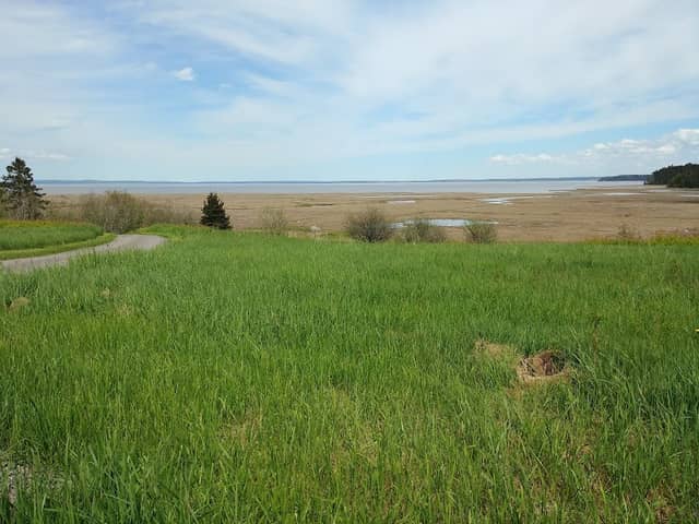Shepody National Wildlife Area - Image 3