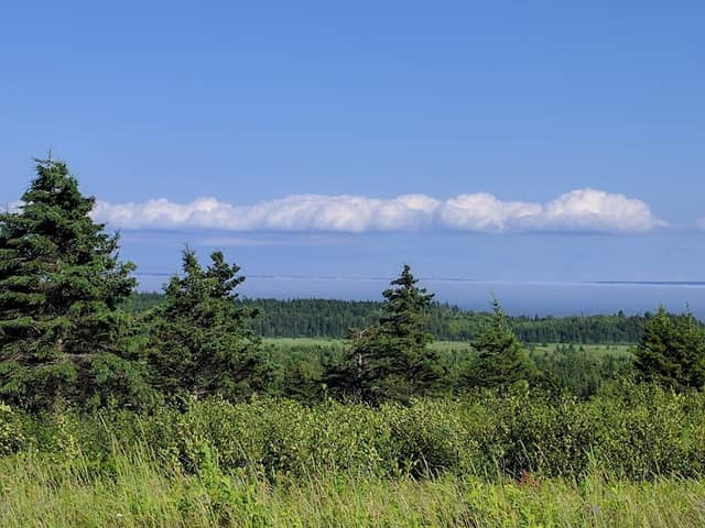 Shepody National Wildlife Area - Image 2