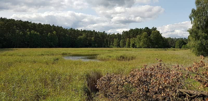 Trojanka Spring - Image 1
