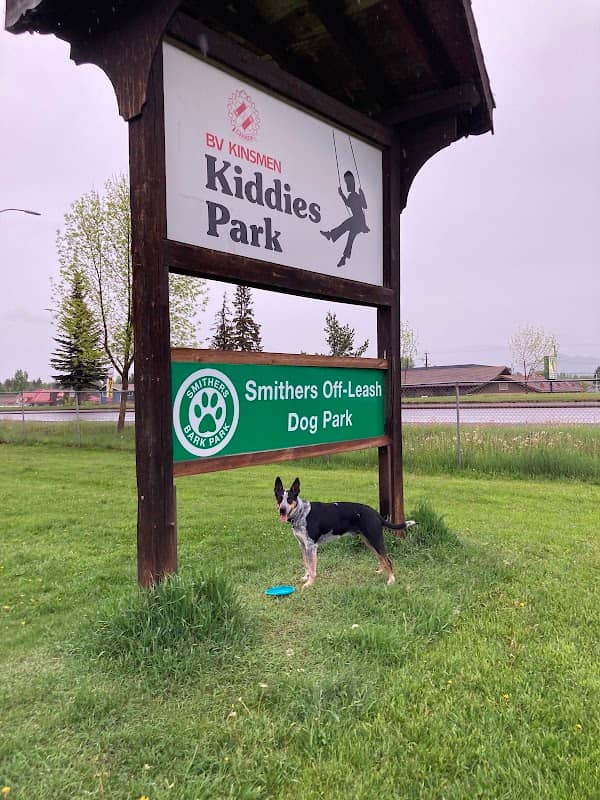 Kiddies Park - Image 1