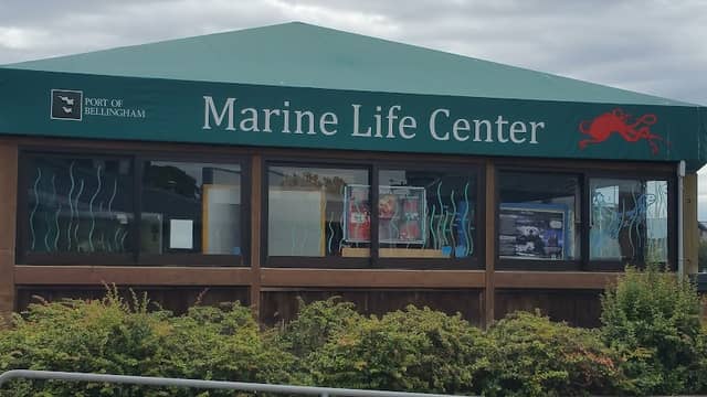Marine Life Center - Image 2