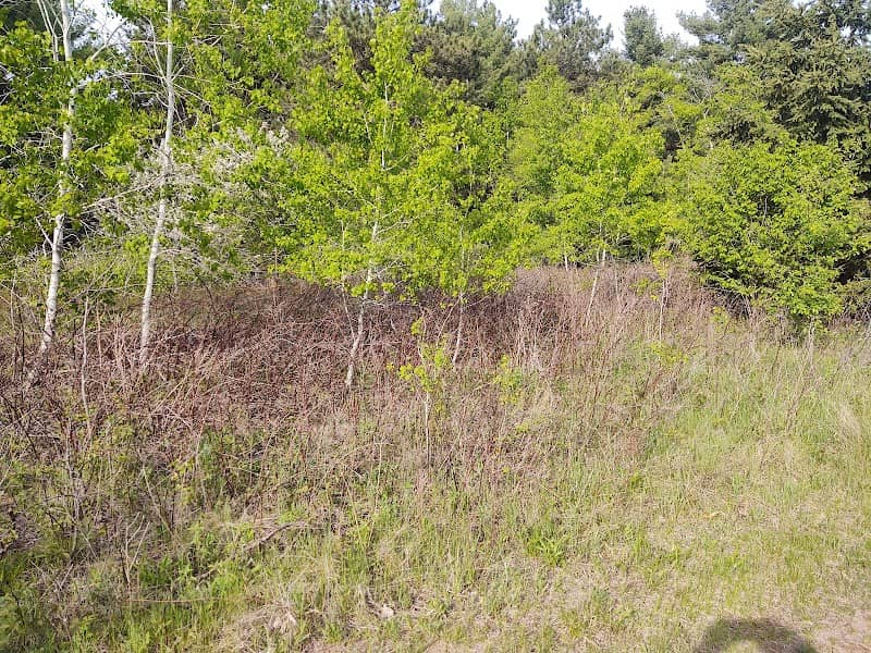 Mountain Bay Trail - Image 2