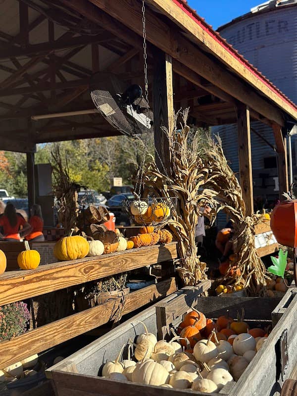 Petes Pumpkin Patch - Image 1