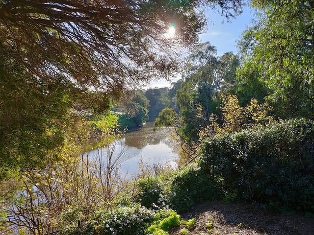Wurundjeri Gardens - Image 1