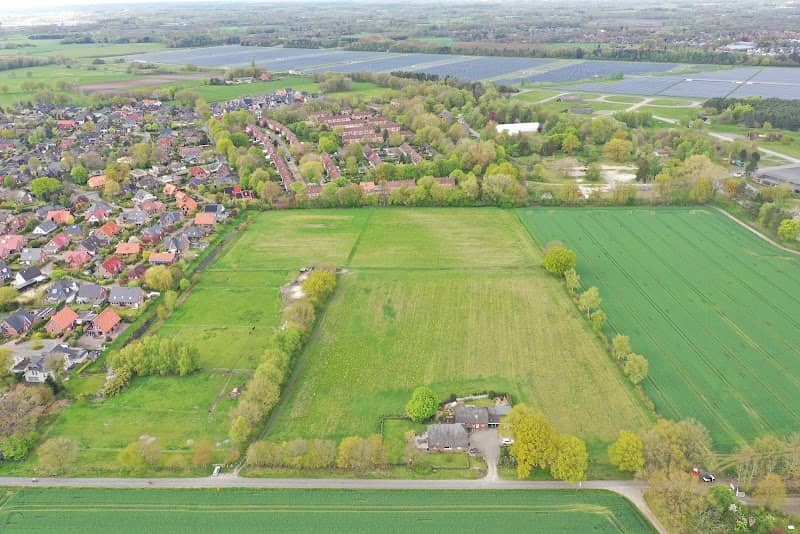 ImmerBunt Blühwiese Brookhauserweg - Image 1