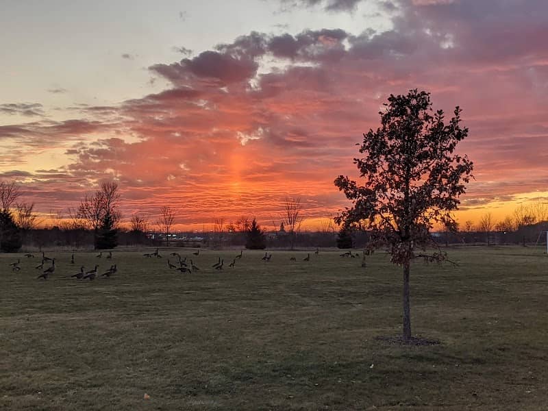 Willow Creek Park - Image 1
