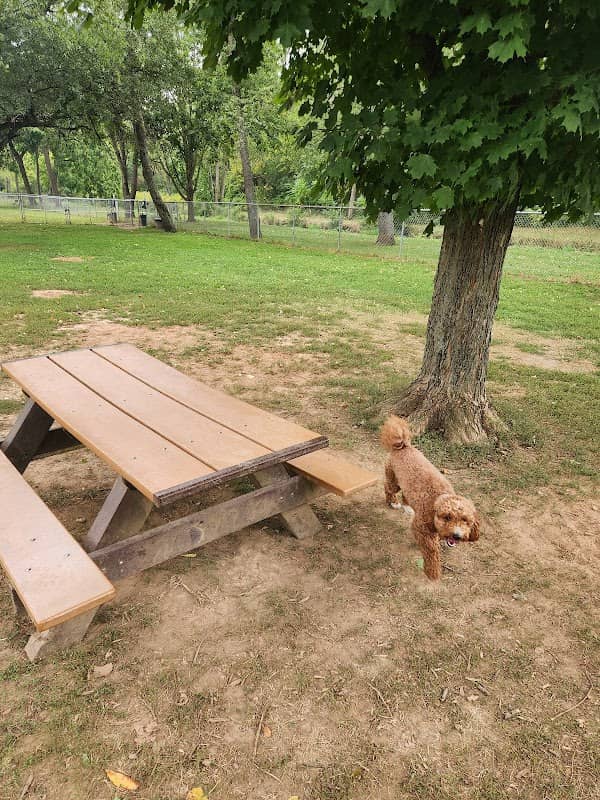 Dog park - Image 1