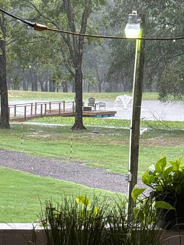 (Ag) Silver Hill Ranch - Image 1