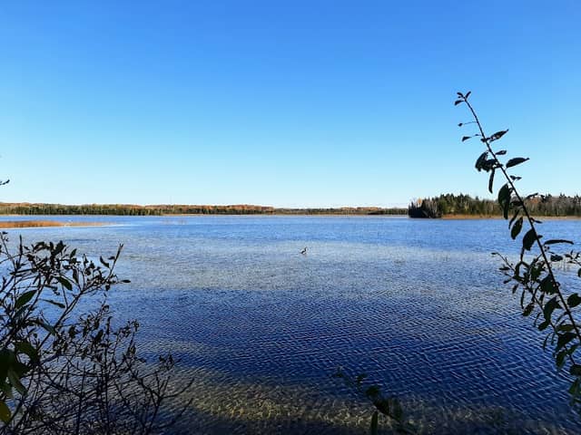 Kangaroo Lake Nature Preserve - Image 1