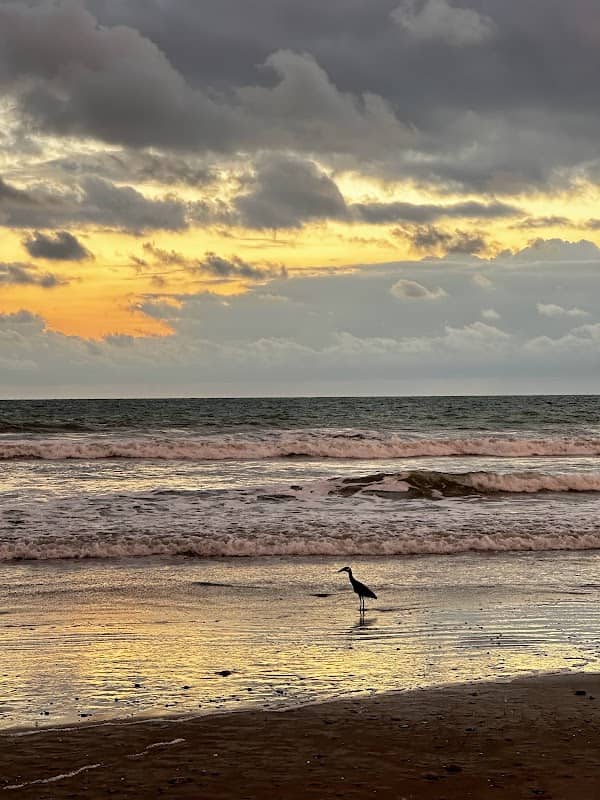 Playa Punta Azul - Image 2