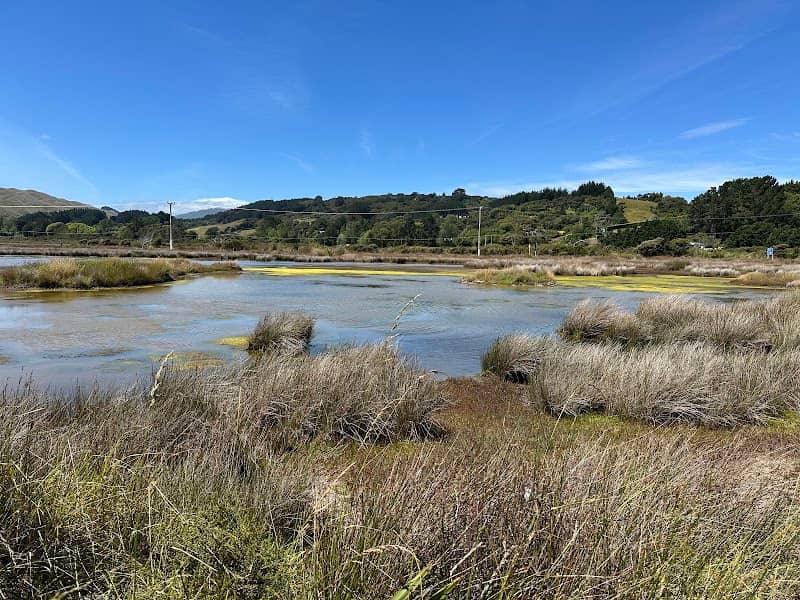 Pauatahanui Wildlife Reserve - Image 2